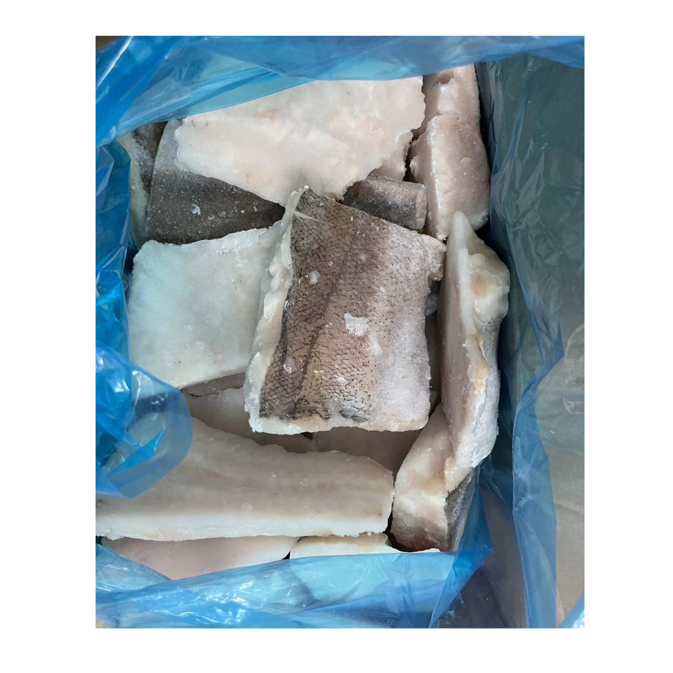 File Hake (Merluccius) BAX/5kg; 35lei-1kg