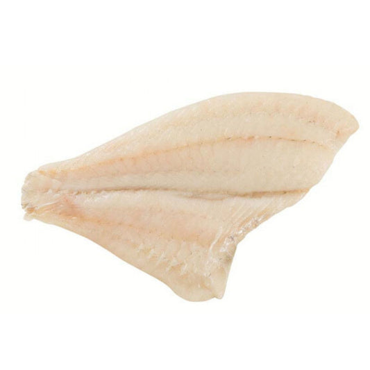 BAX/2.8kg File Calcan