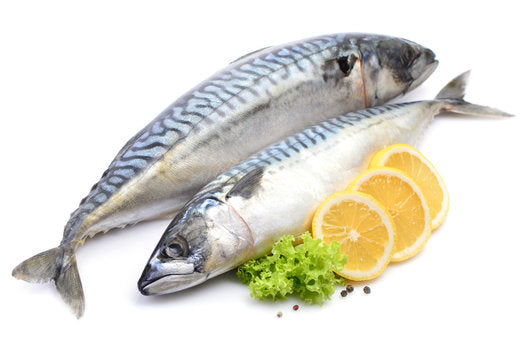 BAX/20kg Macrou Norvegia 600gr+/buc; 1kg-25lei