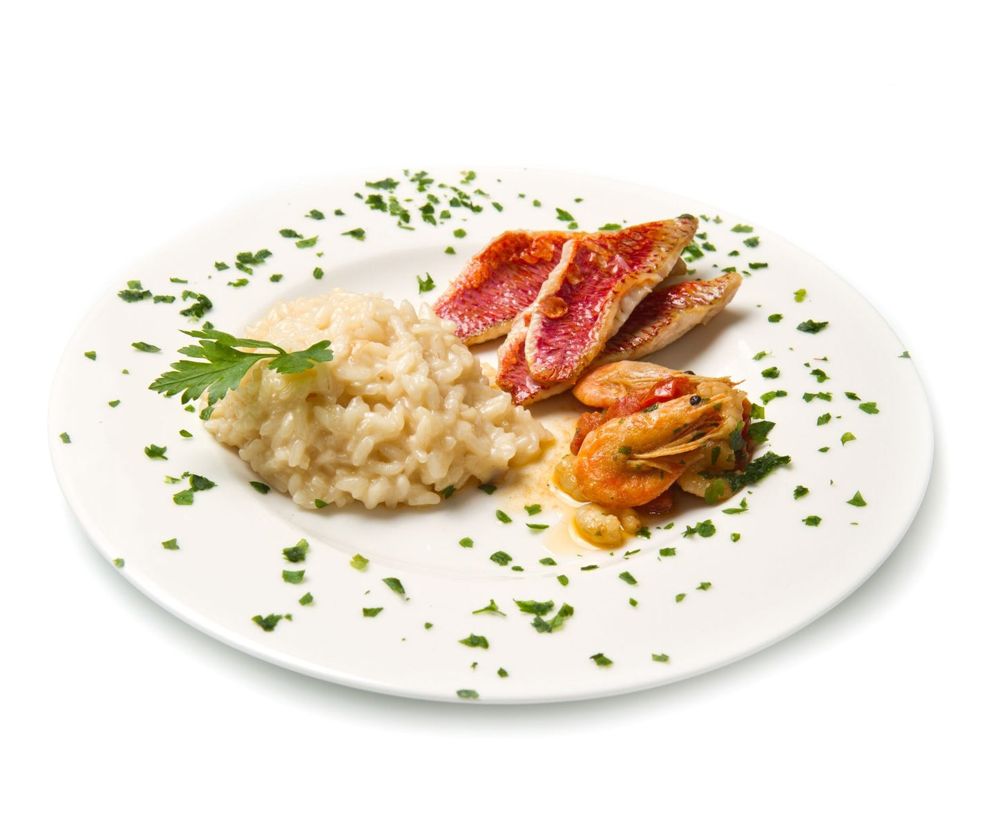 File Barbun (red snapper) 1kg - Cochiliafood