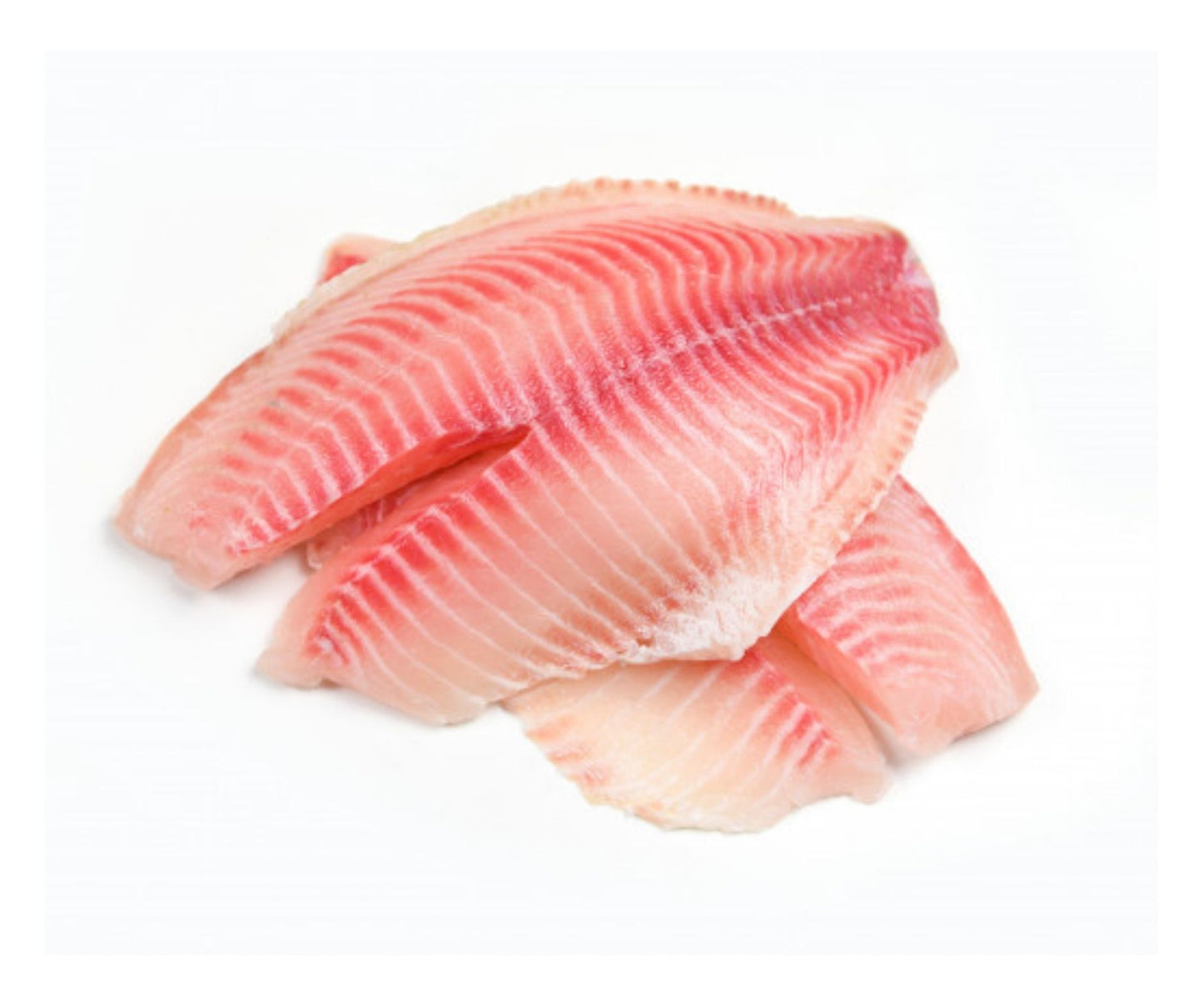 File Barbun (red snapper) 1kg - Cochiliafood