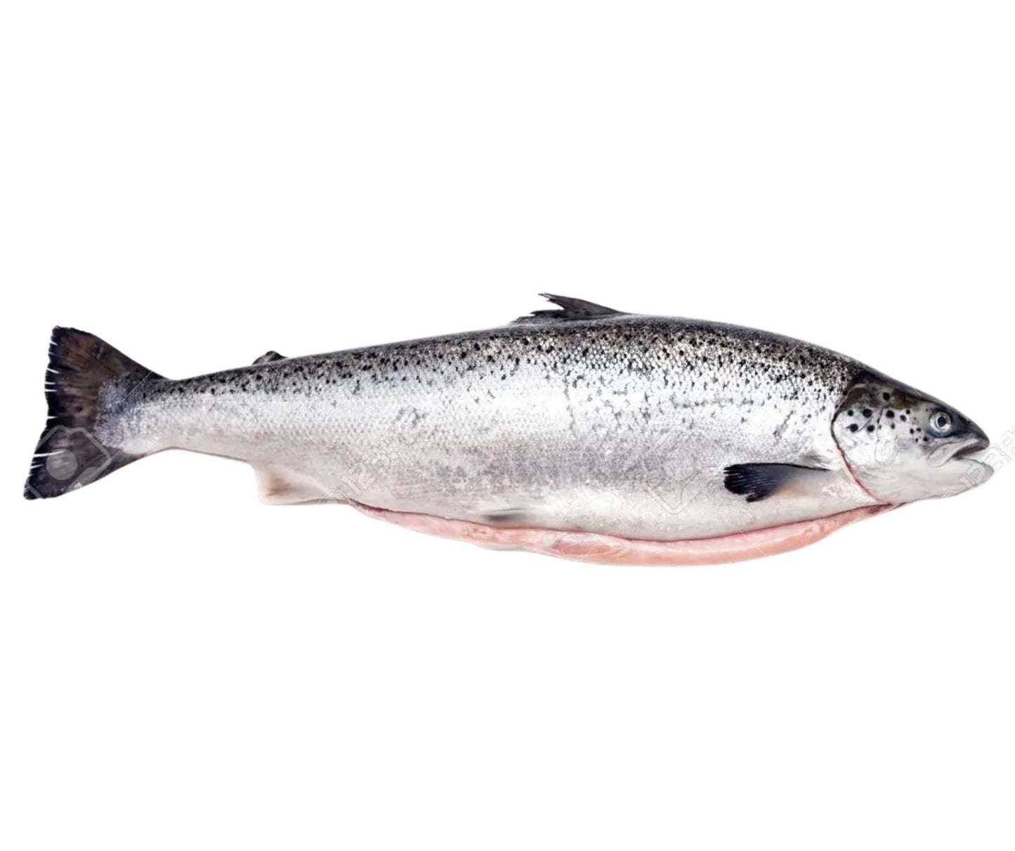 Somon Eviscerat 2-3kg/buc; Pret: 120-180lei