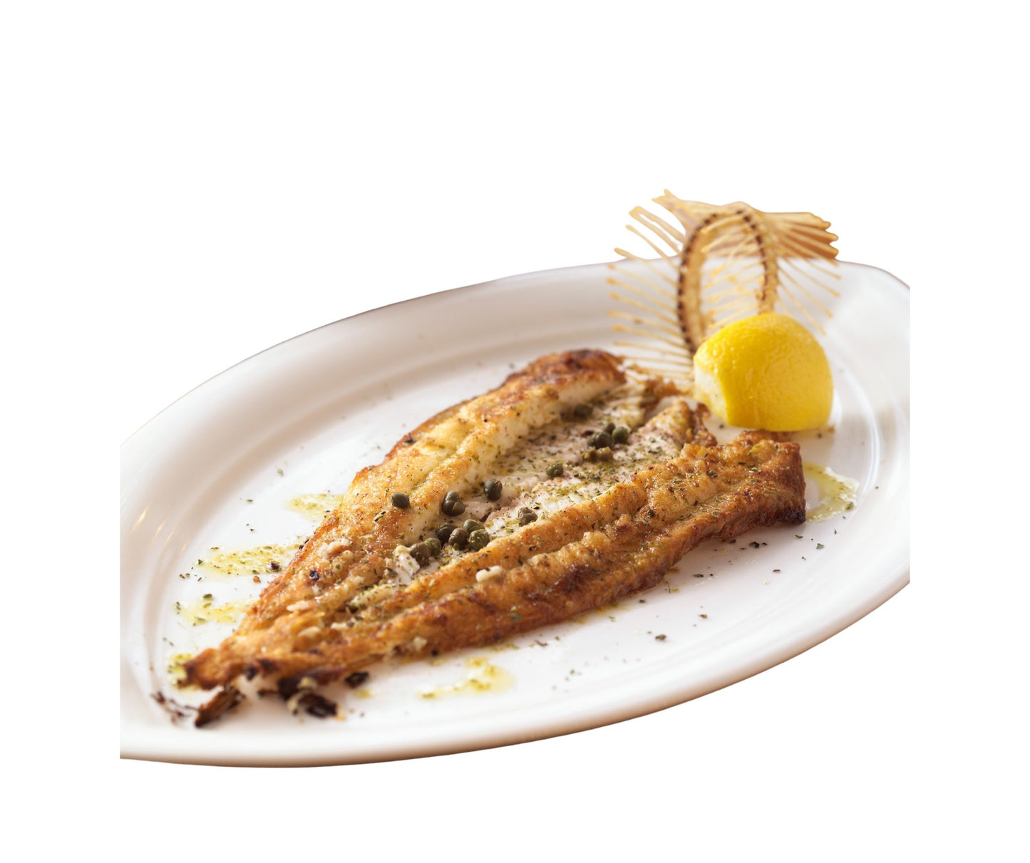 Dover Sole Salbatic, bucata 500-600gr - Cochilia