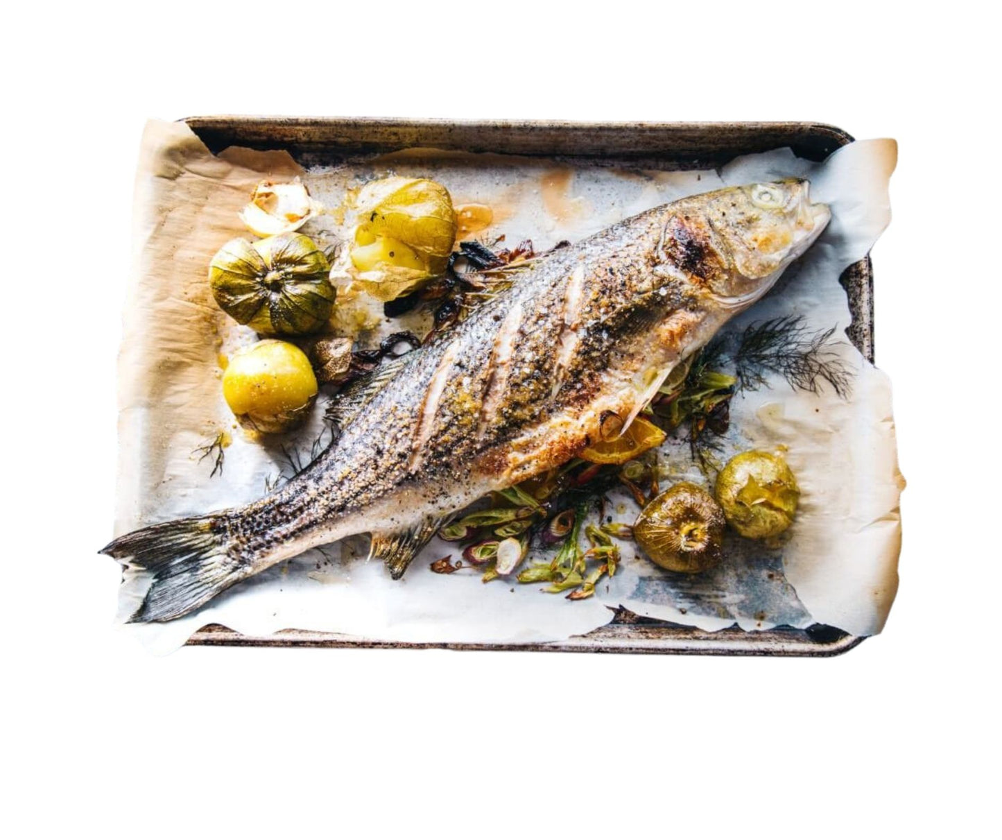 Biban de Mare Eviscerat, bucata 1100-1200gr - Cochilia