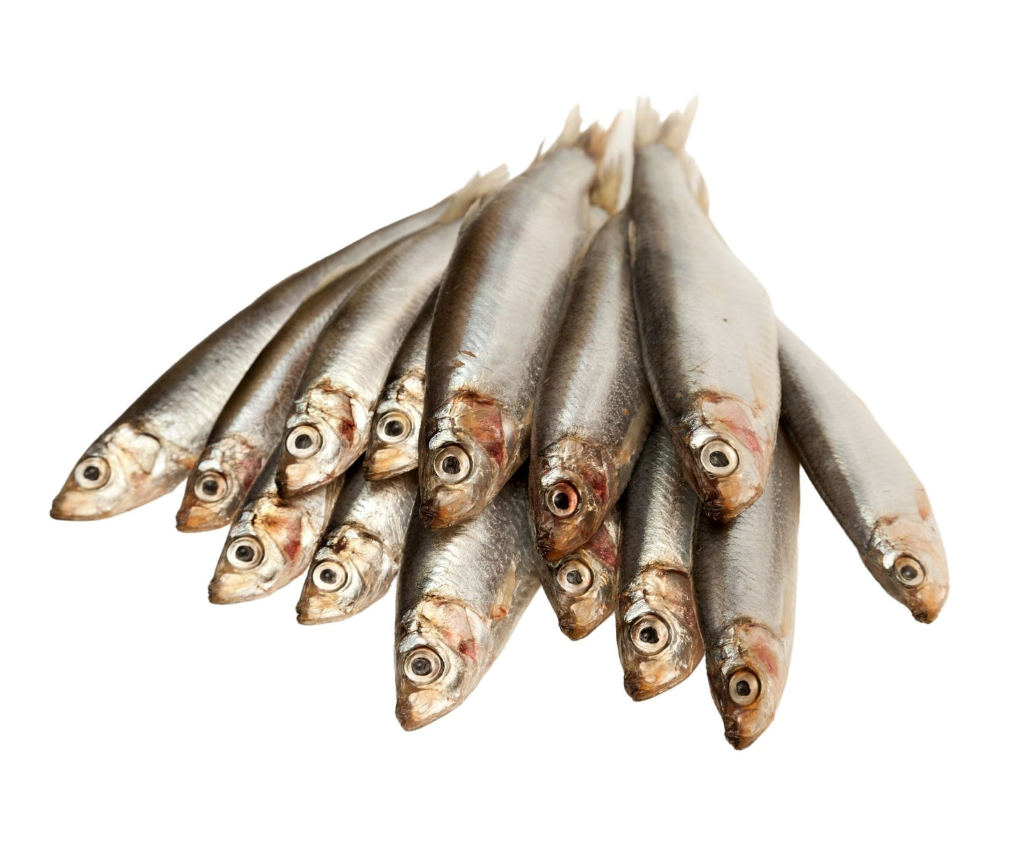 BAX/20x 500gr SPROT MAREA NEAGRA FISHLAND 5lei-buc - Cochiliafood