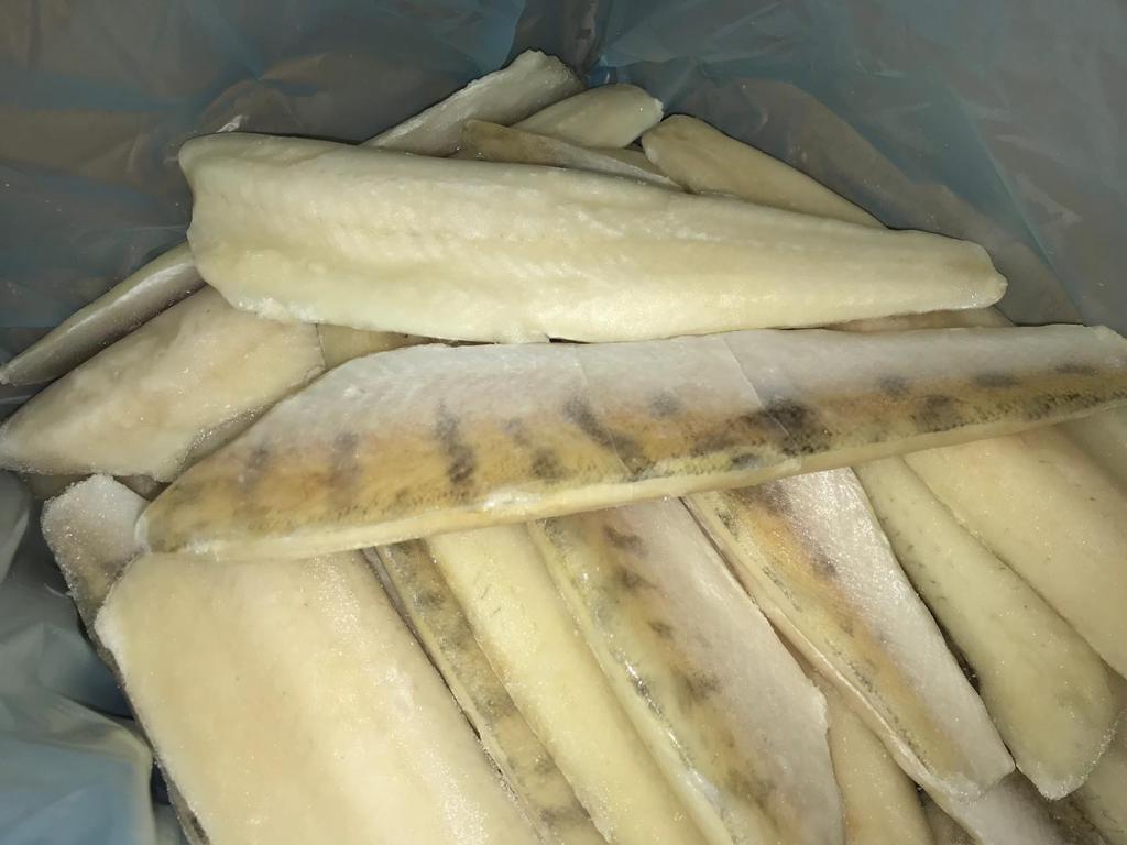 BAX/5kg FILE SALAU (24-28buc) - Cochilia