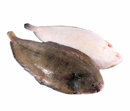 Dover Sole Salbatic, bucata 500-600gr - Cochilia