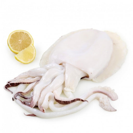 Sepie Intreaga, 950-1050gr/buc - Cochiliafood
