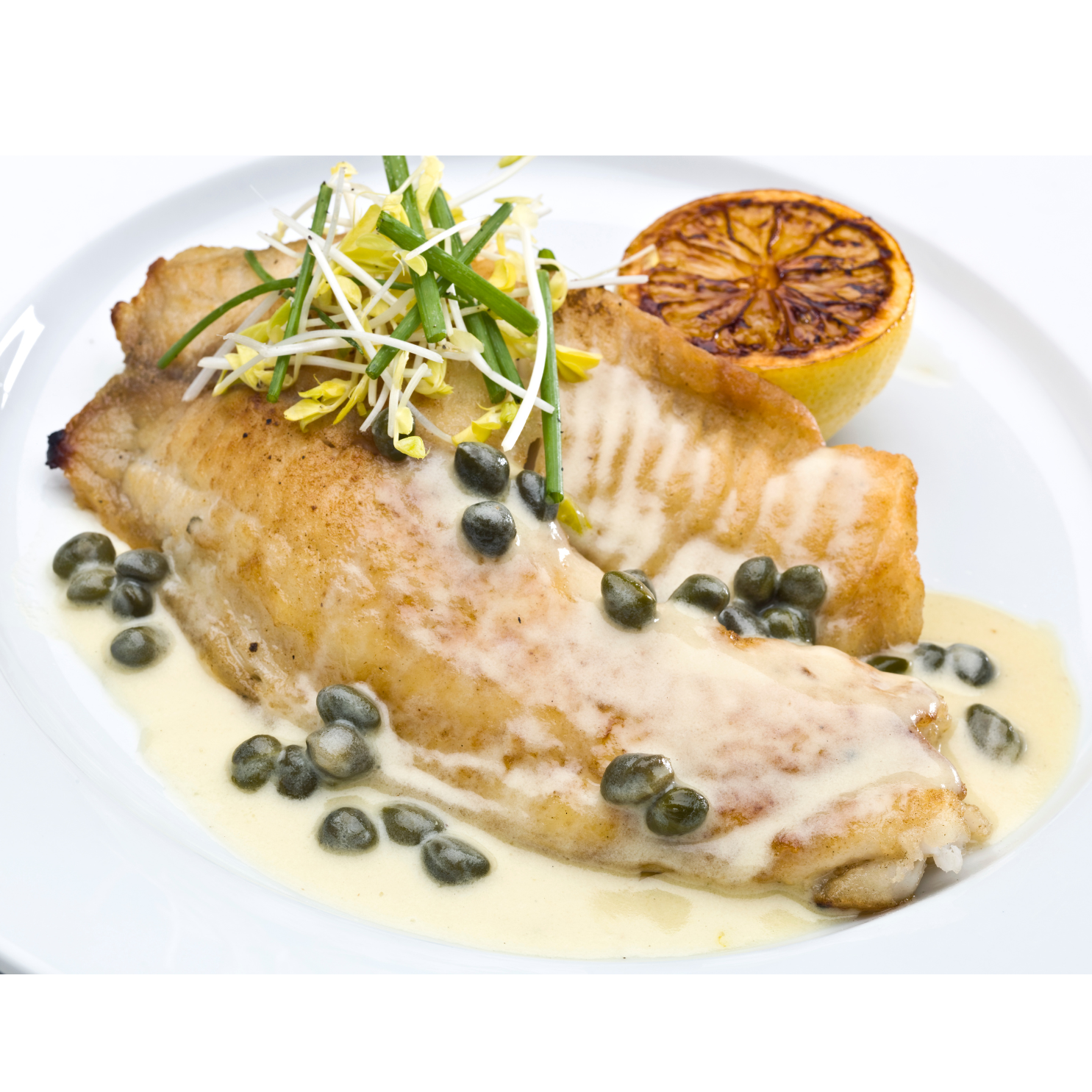 FILE TILAPIA 1KG - Cochiliafood