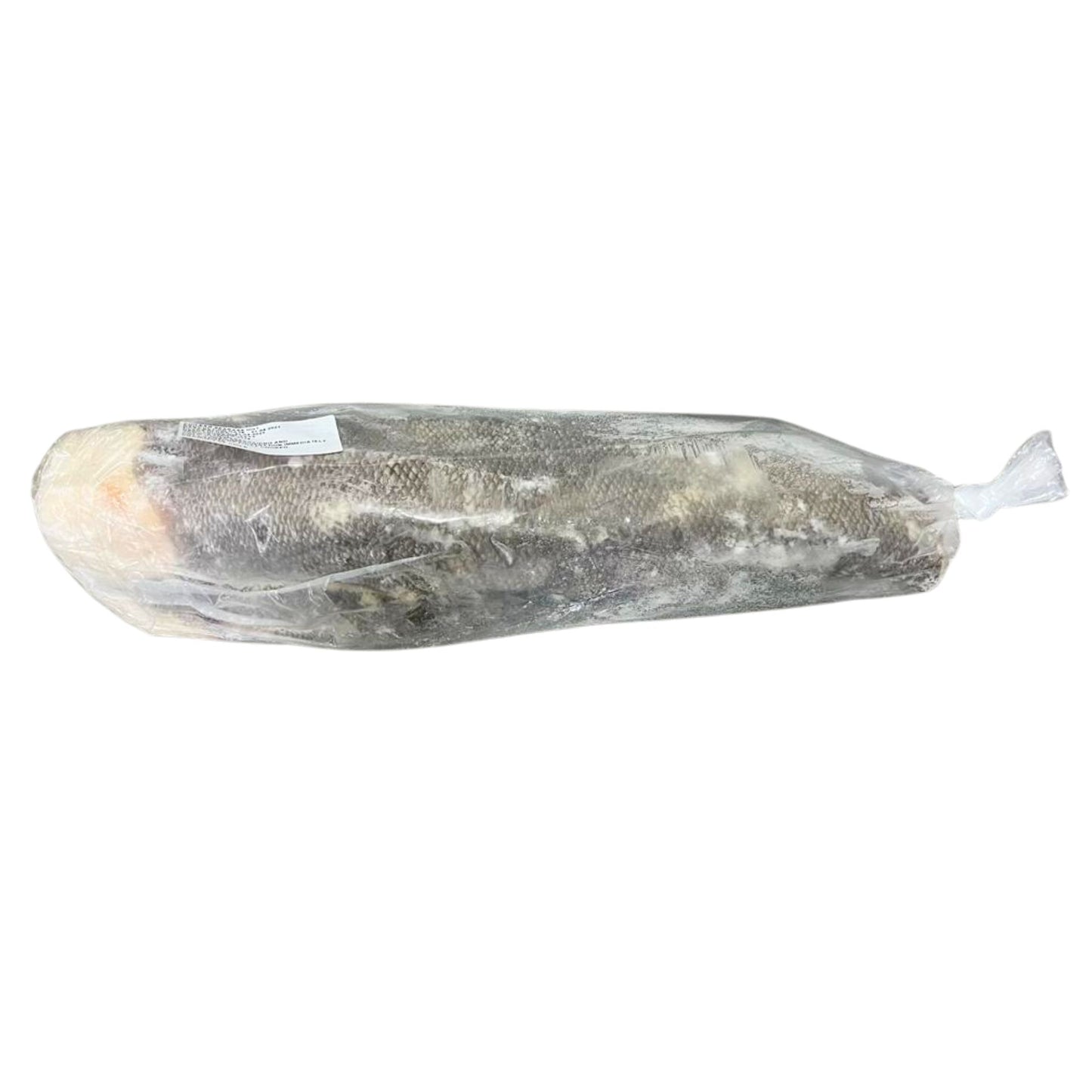Patagonian Toothfish (Biban de Chile), Calibru: 4-7kg, Pret/Bucata 1400-2450lei - Cochiliafood