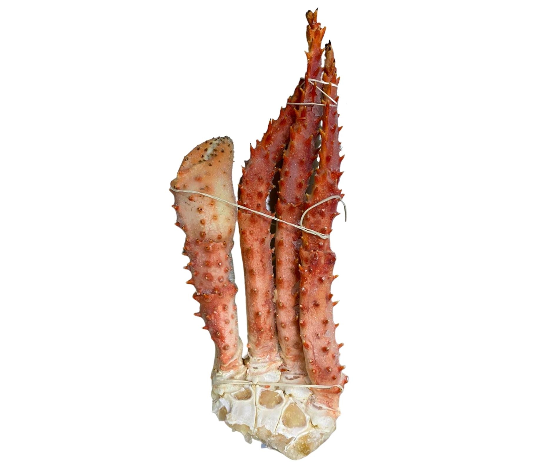 Picioare de King Crab 1-1.2kg/buc - Cochiliafood