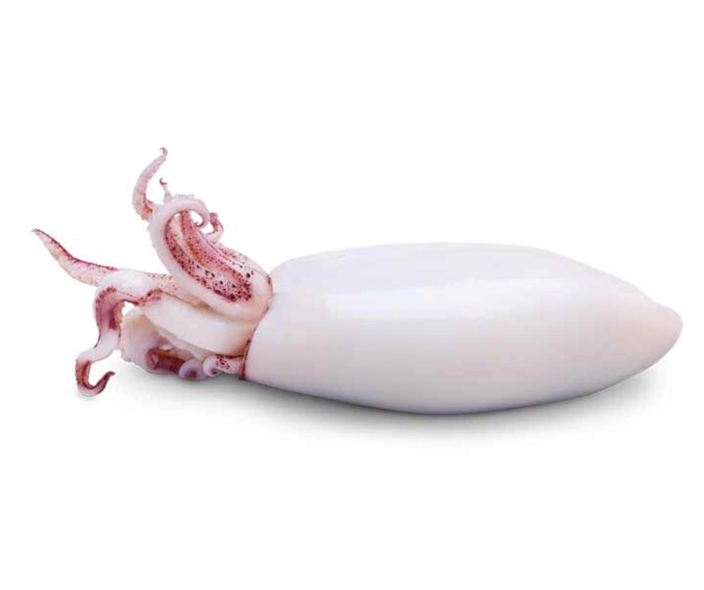 Calamar Baby Curatat 1kg - Cochiliafood