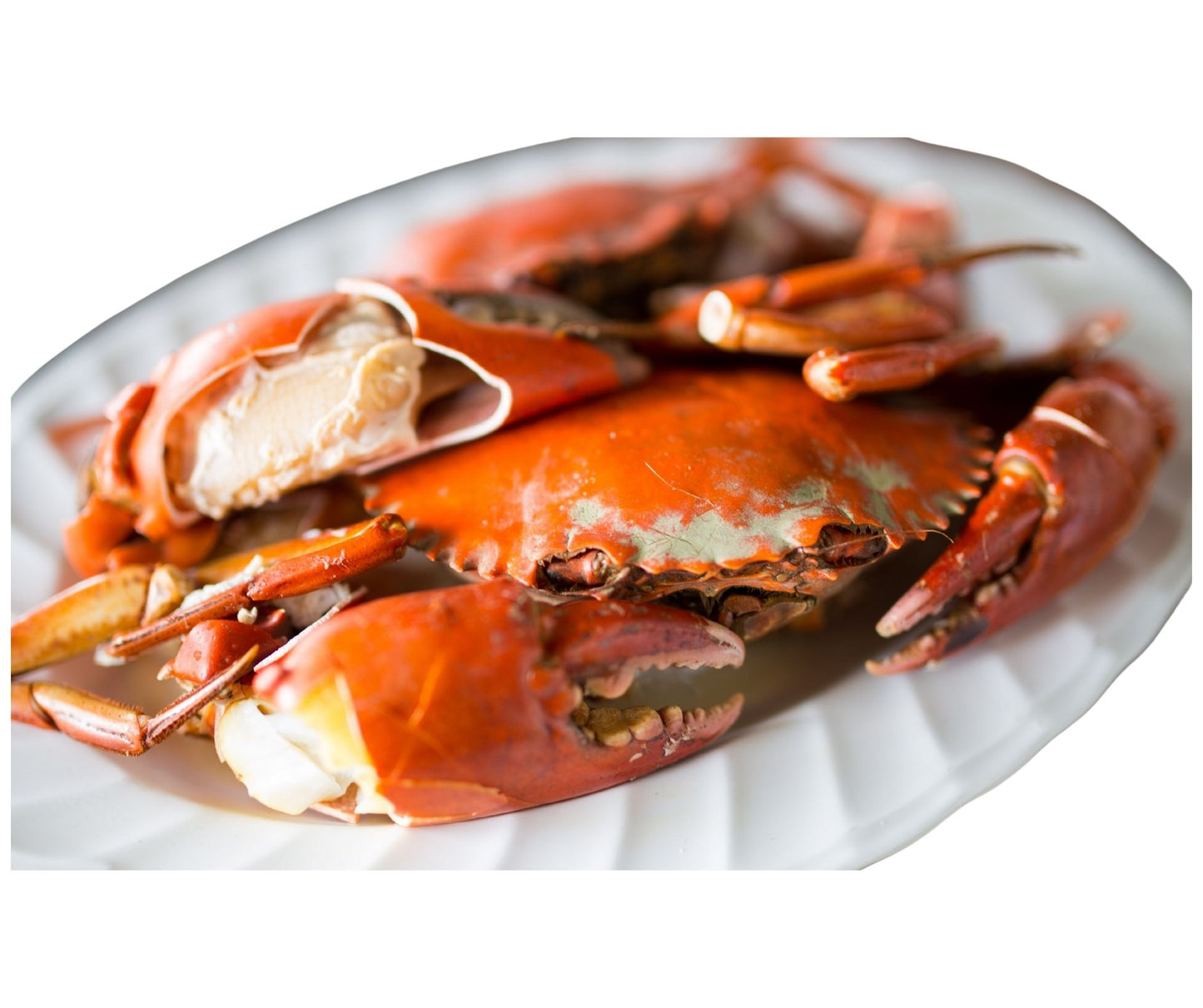 Soft Shell Crab 9/10, 1kg - Cochilia