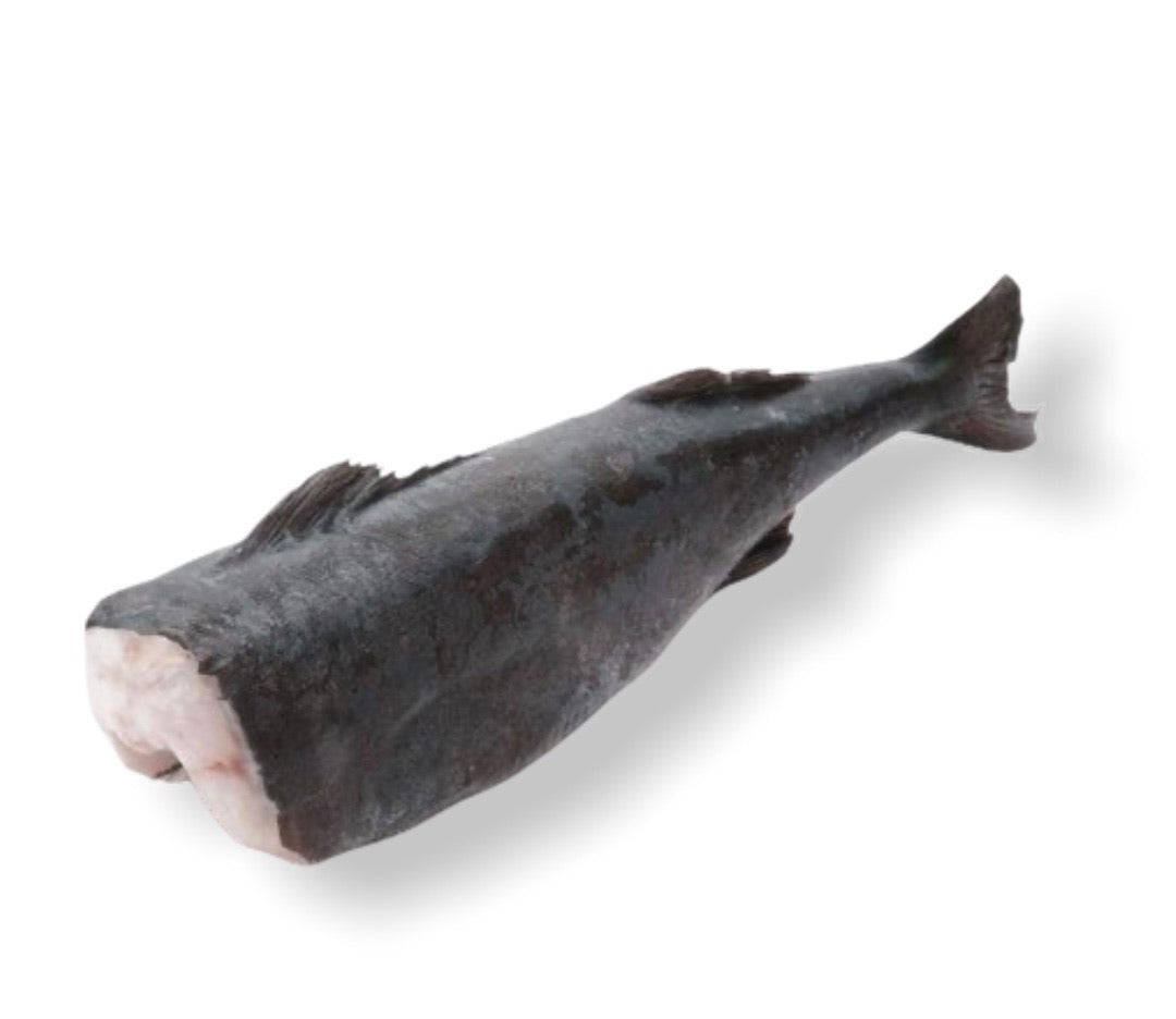 Cod Negru; bucata 2.0-2.5kg; pret: 380-475lei - Cochilia