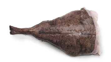 Coada Monkfish Salbatic, Bucata 1.75kg-3.00kg, Pret: 175-300lei - Cochilia